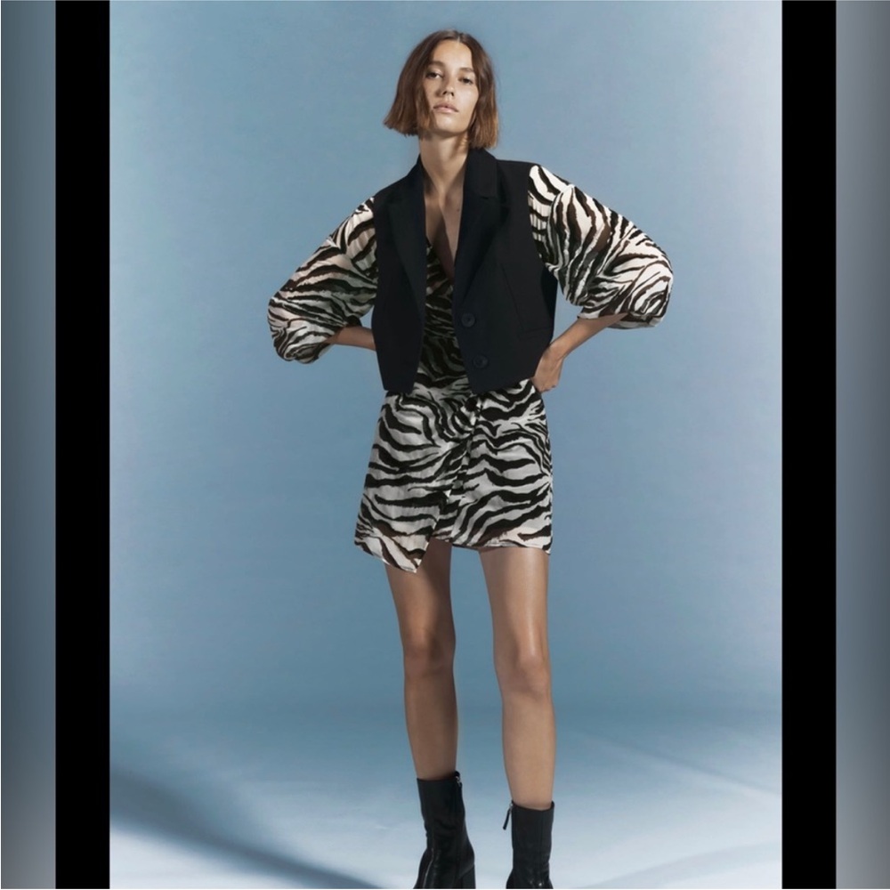 Zara Black and White Zebra Print Mini Dress